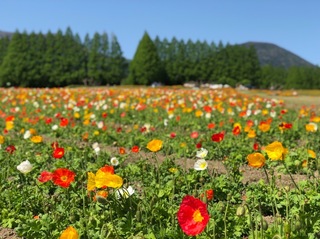 B00973BA-CF1B-433B-A1FA-B6F10FC8379C.jpeg